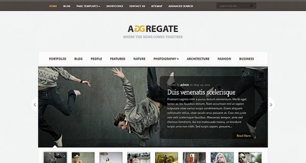 Elegant Themes Aggregate WordPress Theme 3.6.13