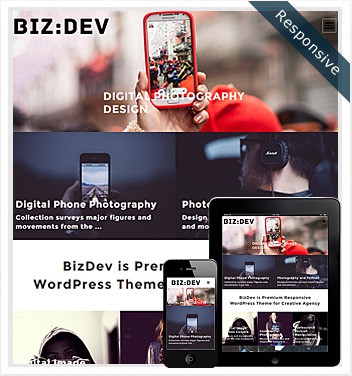 Dessign BizDev Responsive WordPress Theme 2.0.1