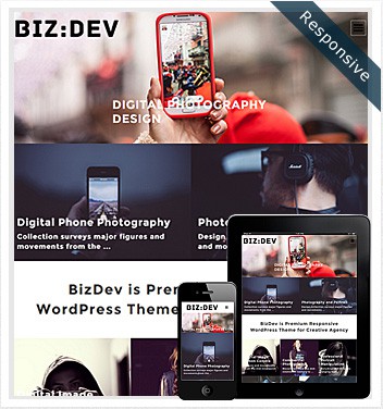 Dessign BizDev Responsive WordPress Theme 2.0.1