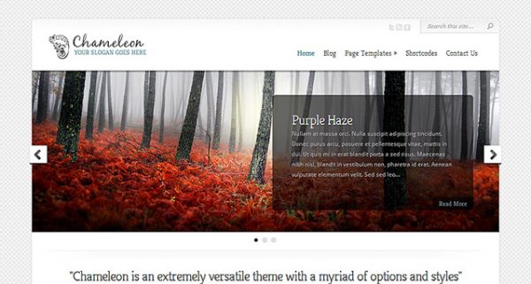 Elegant Themes Chameleon WordPress Theme 3.9.13