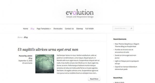 Elegant Themes Evolution WordPress Theme 3.0.15