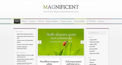Elegant Themes Magnificent WordPress Theme 3.8.13