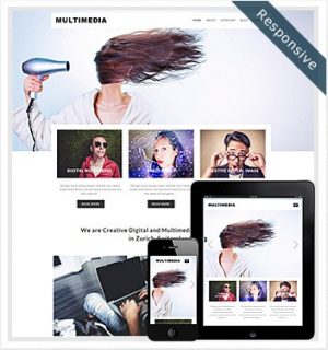 Dessign Multimedia Responsive WordPress Theme 2.0.1