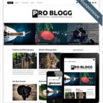 ProBlogThemeRes