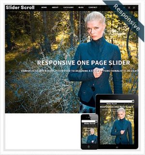 Dessign Slider Scroll Responsive WordPress Theme 2.0