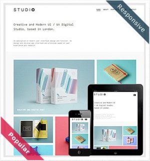 Dessign Studio Responsive WordPress Theme 2.0.1