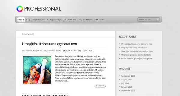 Elegant Themes TheProfessional WordPress Theme 4.0.13