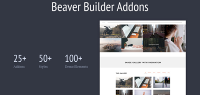 Livemesh - Addons for Beaver Builder Pro  2.0.1