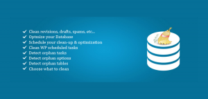 WordPress Advanced Database Cleaner 4.0.6