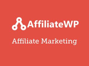 AffiliateWP WordPress Plugin 2.24.3