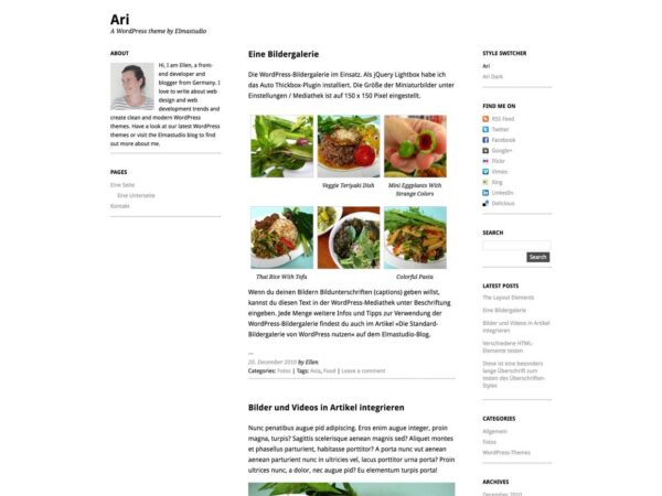 Elmastudio Ari WordPress Theme 1.2