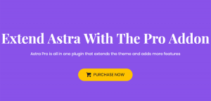 Astra Pro WordPress Plugin 4.13.4 Astra Pro WordPress Plugin 4.13.4