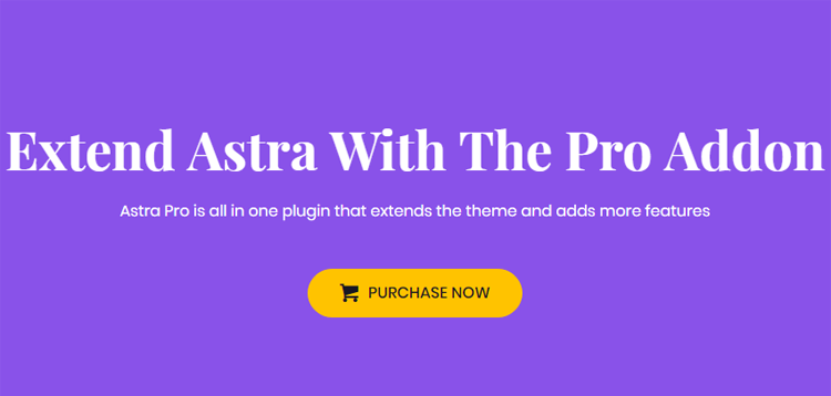Astra Pro WordPress Plugin 4.3.3