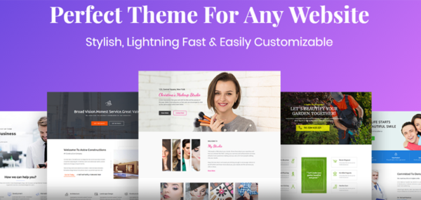 Astra WordPress Theme 4.11.17