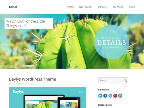Elmastudio Baylys WordPress Theme 1.1.6