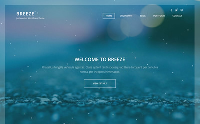 Viva Themes Breeze WordPress Theme 1.1.0
