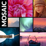 builder-mosaic