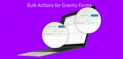 Jetsloth - Gravity Forms Bulk Actions Pro  1.3.4