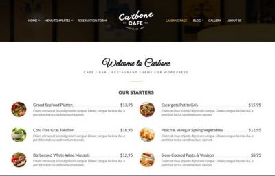 CSS Igniter Carbone WordPress Theme 2.0.3