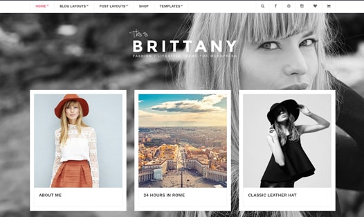 CSS Igniter Brittany WordPress Theme 2.2.0
