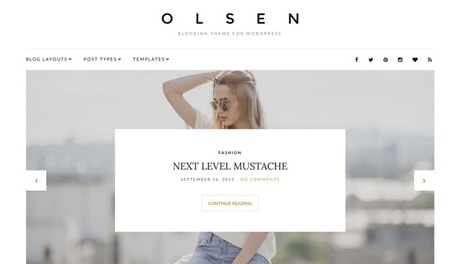 CSS Igniter Olsen WordPress Theme 2.8.1