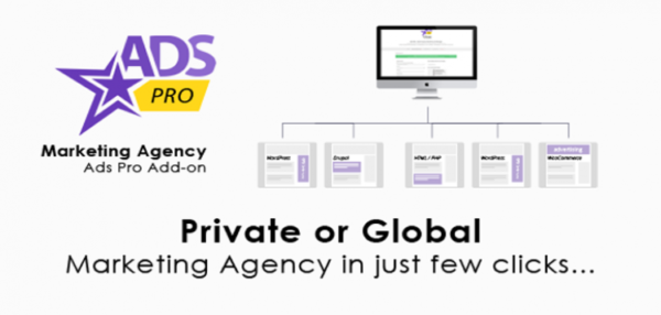 Ads Pro Add-on - WordPress Marketing Agency 1.0.4