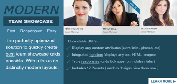 Modern Team Showcase WordPress Plugin 2.3