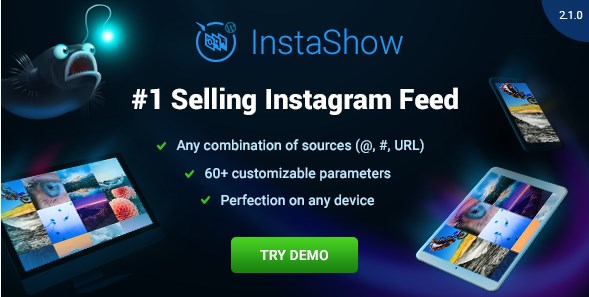Instagram Feed – WordPress Gallery for Instagram 4.0.2