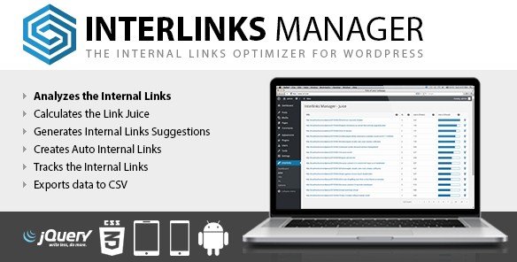 Interlinks Manager WordPress Plugin 1.34
