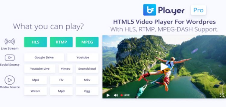 bzplayer Pro - Live Streaming Player WordPress Plugin  2.1