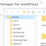 codecanyon-2640424-file-manager-plugin-for-wordpress