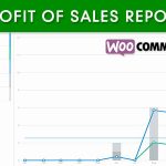 codecanyon-9190590-woocommerce-profit-of-sales-report-wordpress-plugin