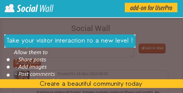 Social Wall Addon for UserPro 4.3