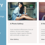 codecanyon-9794784-dv-gallery-responsive-wordpress-gallery-plugin