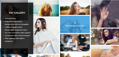 FAT Image Gallery For Wordpress  1.23