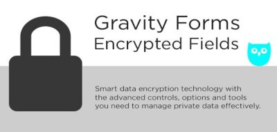 Gravity Forms Encrypted Fields 6.1.3