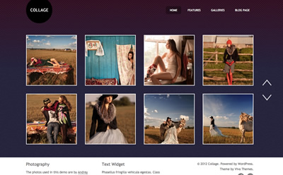 Viva Themes Collage WordPress Theme 1.0.0