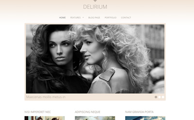 Viva Themes Delirium WordPress Theme 4.1.0