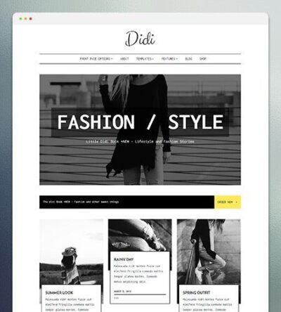 Didi WordPress Theme