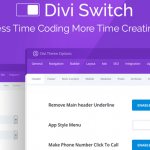 divi-switch