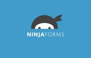 Download Monitor Ninja Forms 4.1.13
