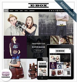 Dessign E-Box WooCommerce Themes 3.0.0