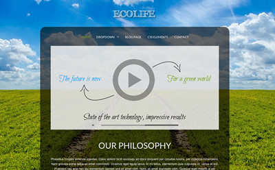 Viva Themes Ecolife WordPress Theme 1.0.1 Viva Themes Ecolife WordPress Theme 1.0.1