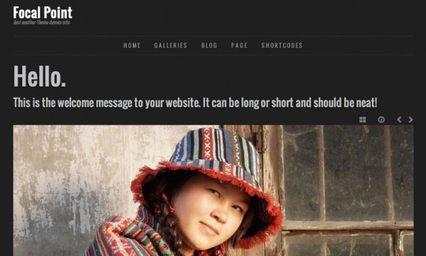 Graph Paper Press Focal Point WordPress Theme 3