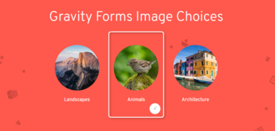Jetsloth - Gravity Forms Image Choices  1.3.59