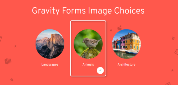Jetsloth - Gravity Forms Image Choices  1.4.21