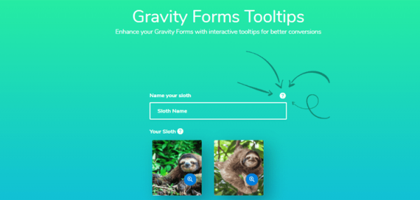 Jetsloth Gravity Forms Tooltips 1.1.50