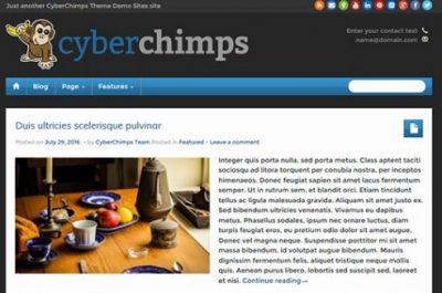 CyberChimps iFeature Pro 5 WordPress Theme 6.15