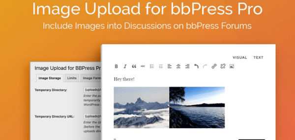 AGS Image Upload for BBPress Pro  2.1.34