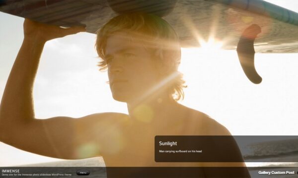 Graph Paper Press Immense WordPress Theme 3.0